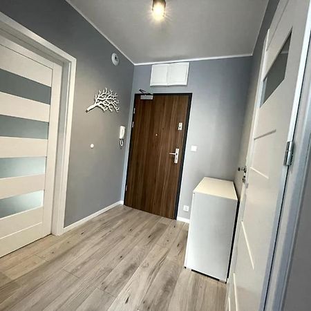 New Apartment - Near Sky Tower - 4 People - New Building - Lift Vratislav Exteriér fotografie
